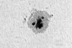 Sonne 2007